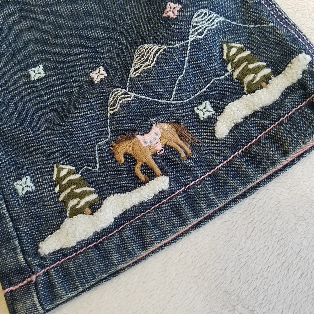 Gymboree Park City Luxe lined Jean's + accessories - Picture 2 of 16